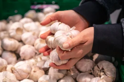 Présence au marché de Beaumont-de-Lomagne, Montauban, Les Pépites en Famille