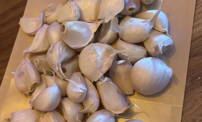 Ail débriné - caïeux prêts à l'emploi - 250 g, Montauban, Les Pépites en Famille