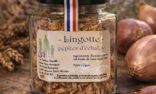 Lingotte - Les Pépites en Famille